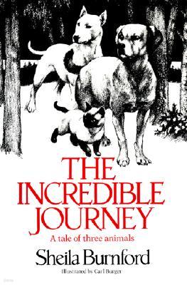 [Ǹ] The Incredible Journey                                                                              