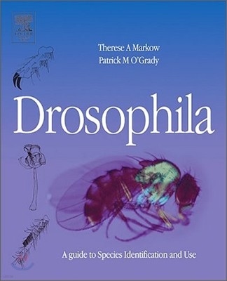 [Ǹ] Drosophila
