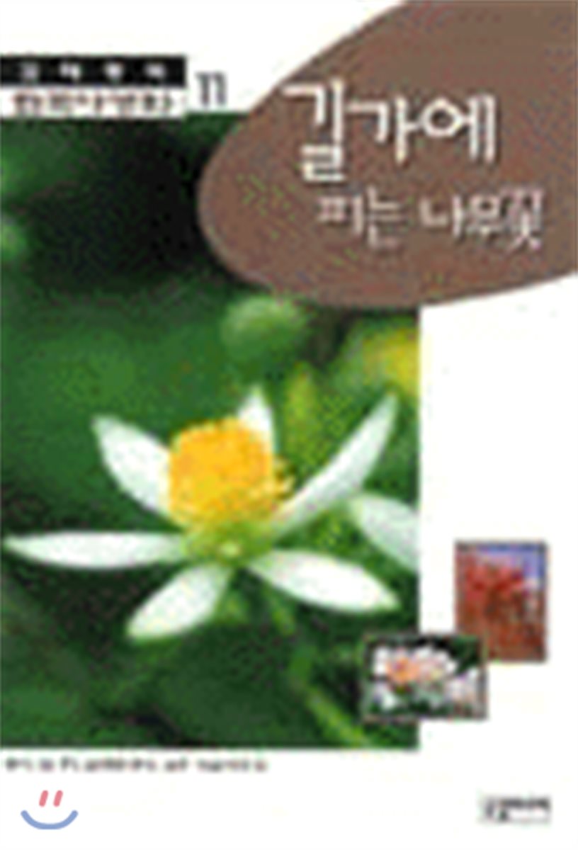 길가에 피는 나무꽃