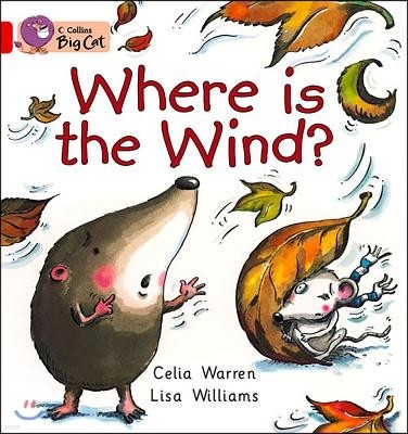 Where Is the Wind? Workbook