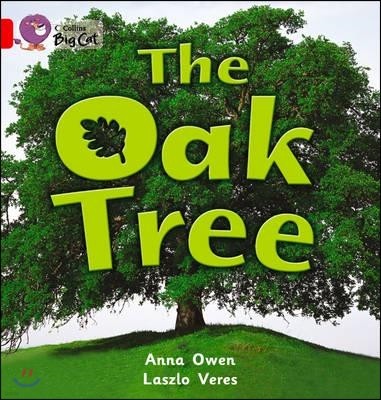 The Oak Tree Workbook