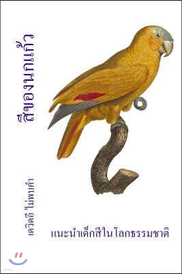 Si khxng nk kaew: Naeana dek Si ni lokthrrm chati