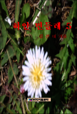 하얀 민들레 5