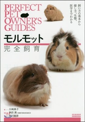 モルモット完全飼育
