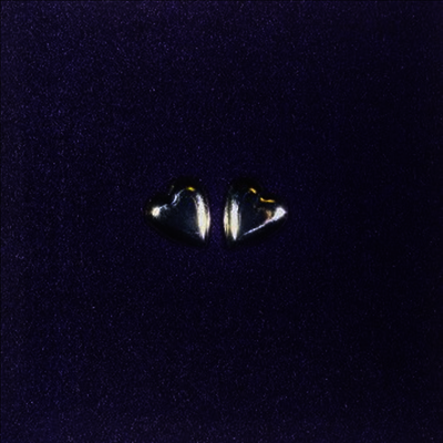 Songs: Ohia — Axxess & Ace 앨범 커버