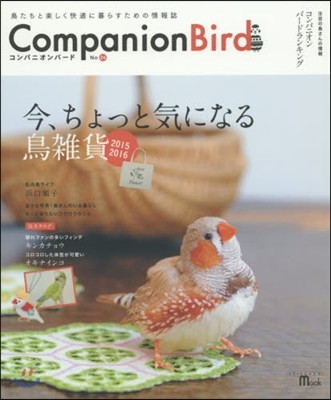 Companion Bird  24