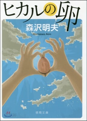 ヒカルの卵