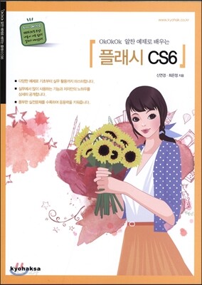 플래시CS6
