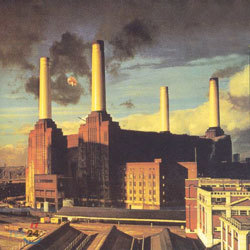 Pink Floyd - Animals