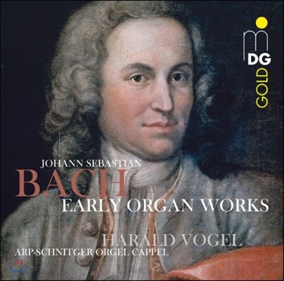 Harald Vogel 바흐: 초기 오르간 작품집 (Bach: Organ Works)