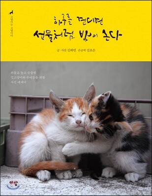 고양이는 고양이다 1 : 하루를 견디면 선물처럼 밤이 온다