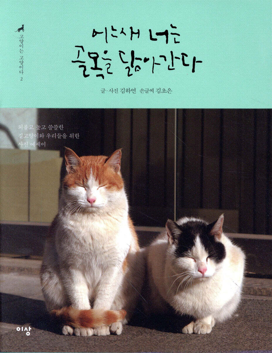 고양이는 고양이다 2 : 어느새 너는 골목을 닮아간다