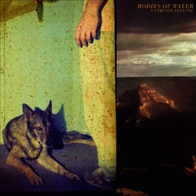 Bodies Of Water - Certain Feeling (LP)