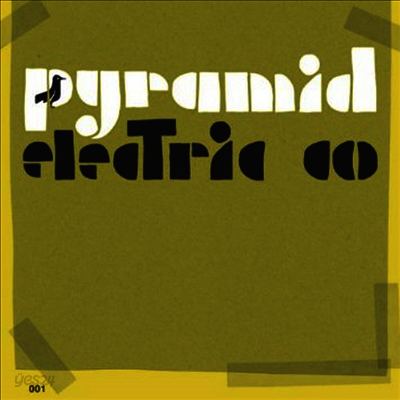 Jason Molina - Pyramid Electric Co (LP)