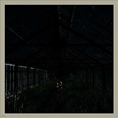 Foxing — Dealer (MP3 Download) 앨범 커버