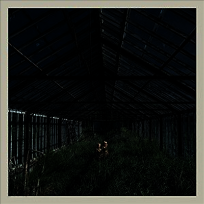 Foxing - Dealer (MP3 Download)(Colored LP)