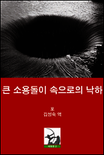 큰 소용돌이 속으로의 낙하