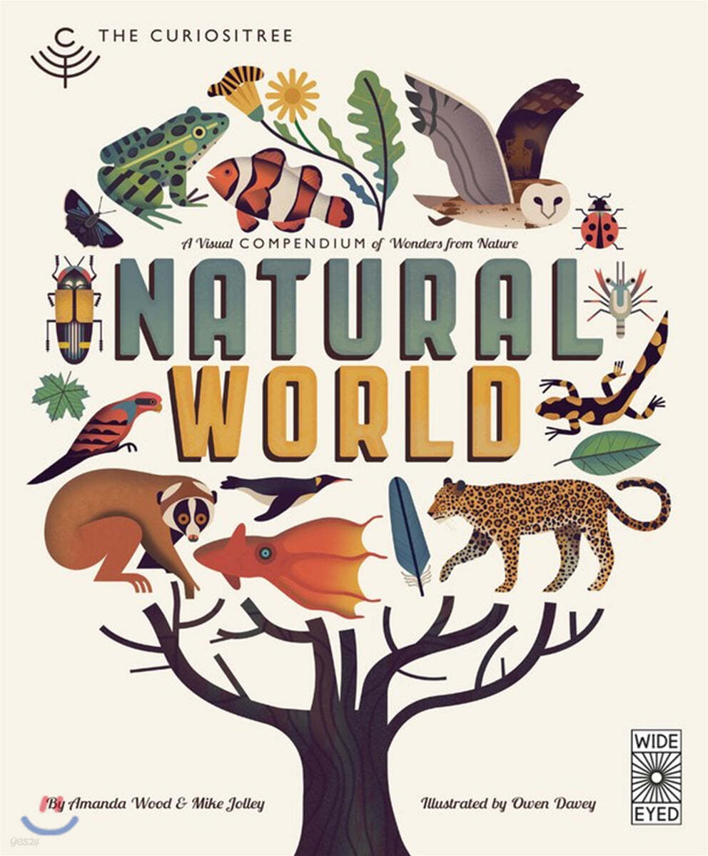 Curiositree: Natural World: A Visual Compendium of Wonders from Nature - Jacket Unfolds Into a Huge Wall Poster!