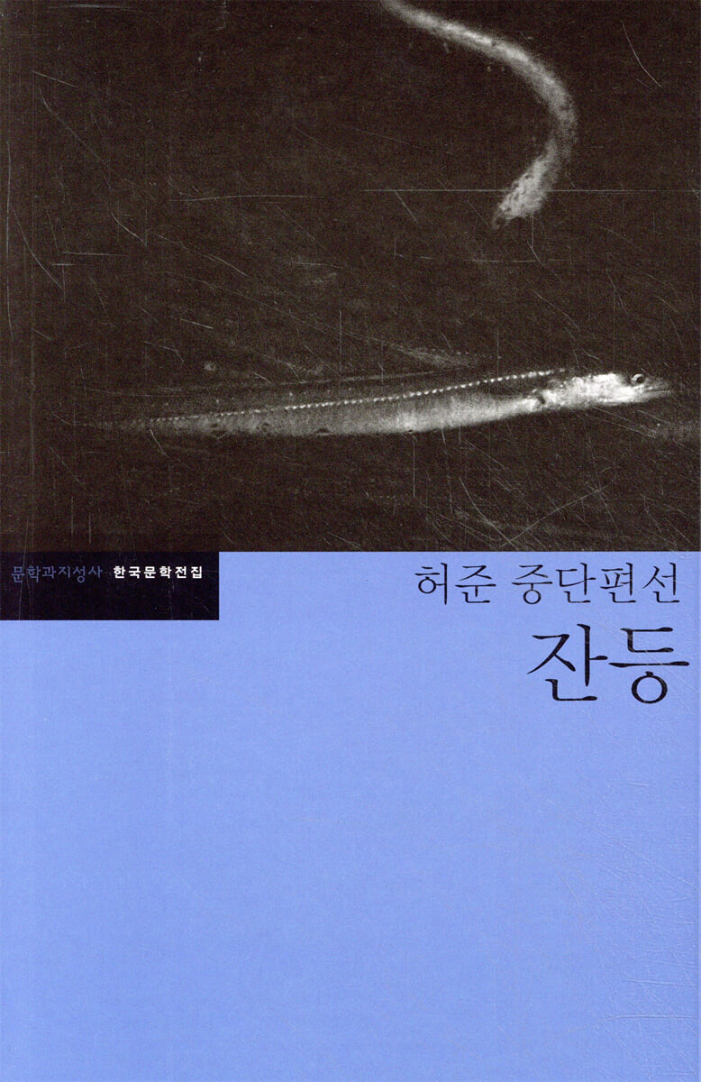 잔등