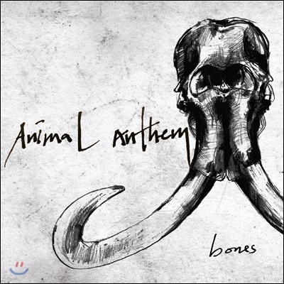 애니멀 앤썸 (Animal Anthem) 1집 - Bones