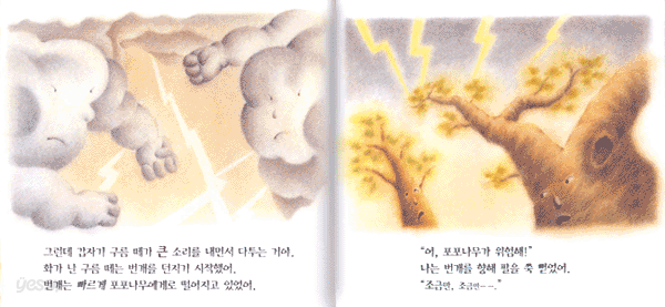 내 친구 포포나무