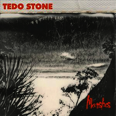 Tedo Stone — Marshes (Download Card) 앨범 커버