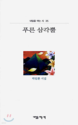 푸른 삼각뿔