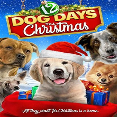 12 Dog Days Till Christmas (12  ̽ ƿ ũ)(ڵ1)(ѱ۹ڸ)(DVD)