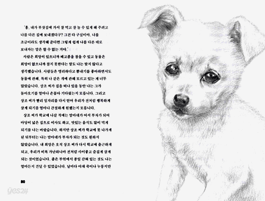 순돌이이야기