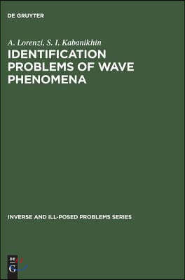 Identification Problems of Wave Phenomena: Theory and Numerics