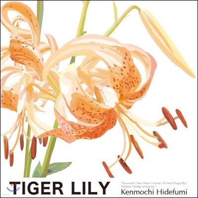 [߰] Kenmochi Hidefumi /Tiger Lily (Ϻ)