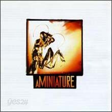 Aminiature - Depth Five Rate Six