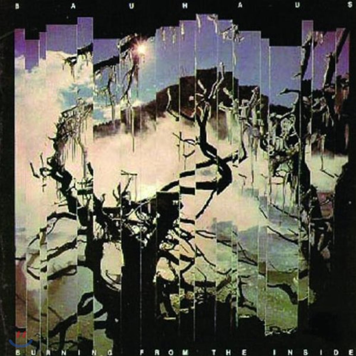 Bauhaus - Burning From The Inside