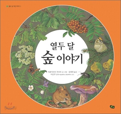 열두 달 숲 이야기