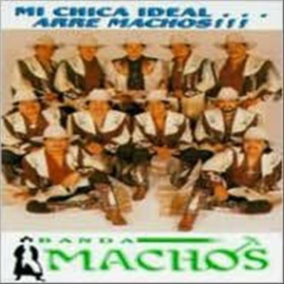 Banda Machos - Mi Chica Ideal