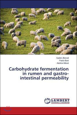 Carbohydrate fermentation in rumen and gastro-intestinal permeability