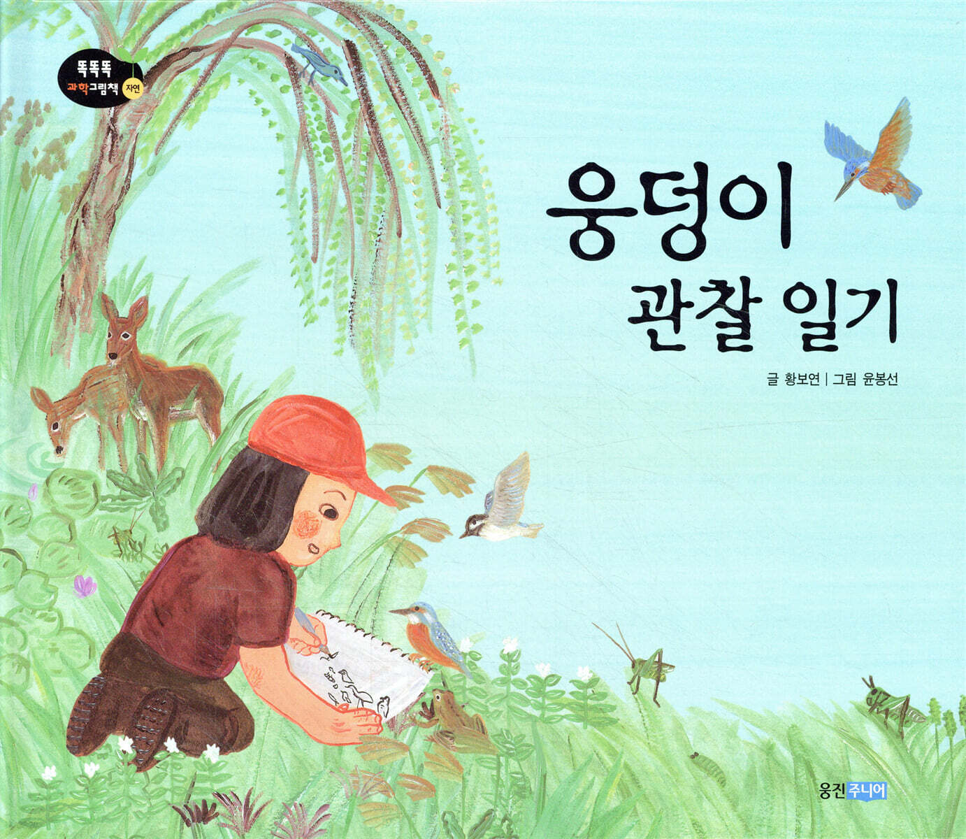 웅덩이 관찰 일기
