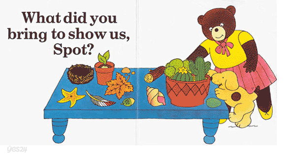 Spot goes to School (boardbook)