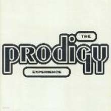 Prodigy - Experience