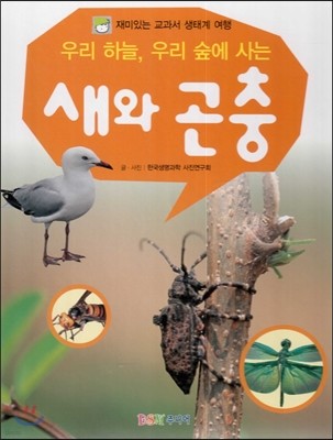 재미있는 교과서 생태계 여행 : 우리 하늘, 우리 숲에 사는 새와 곤충 