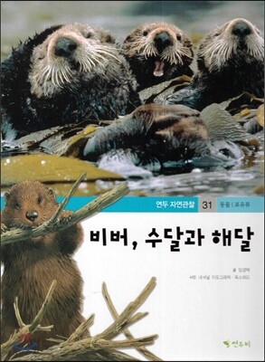 연두자연관찰 31 비버, 수달과 해달 (물에사는 동물/포유류)