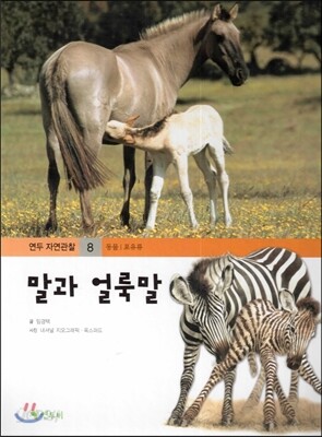 연두자연관찰 08 말과 얼룩말 (땅에 사는 동물/포유류)