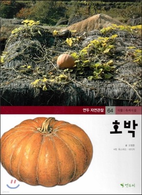 연두자연관찰 64 호박 (곡식과 열매, 식물/속씨식물) 