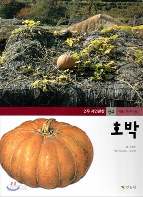 연두자연관찰 64 호박 (곡식과 열매, 식물/속씨식물)