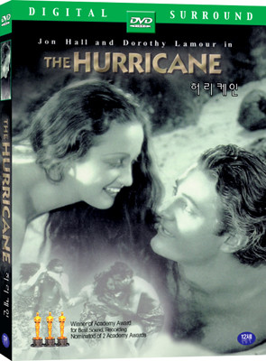 㸮 The Hurricane