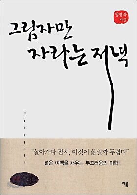 그림자만 자라는 저녁