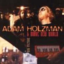 Adam Holzman & Brave New World - The Big Picture