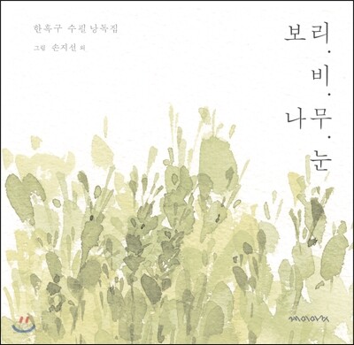 보리. 비. 나무. 눈