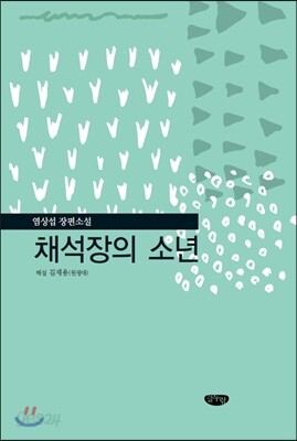 채석장의 소년