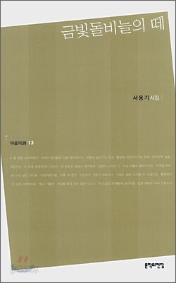 금빛돌비늘의 떼
